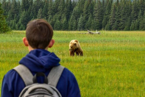 Kenai: Alaska Bear Hiking Experience by Plane - Common Questions