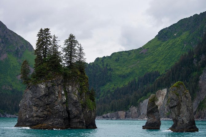 Kenai Fjords and Resurrection Bay Half-Day Wildlife Cruise - Cruise Details