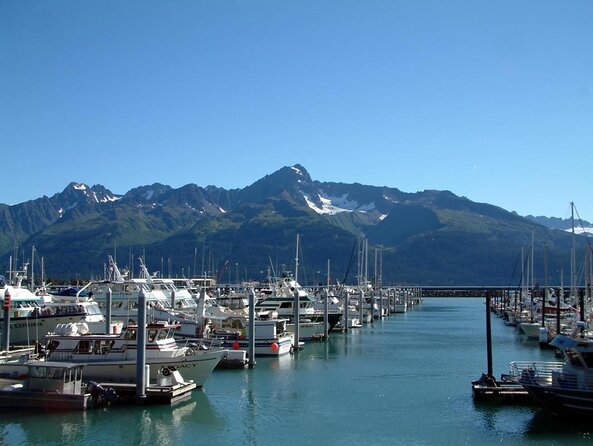 Kenai Fjords and Resurrection Bay Half-Day Wildlife Cruise - Product Code, Pricing, and Company Information