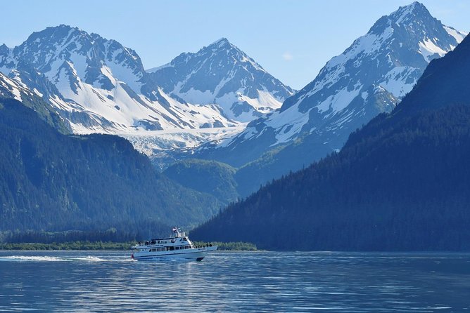 Kenai Fjords and Resurrection Bay Half-Day Wildlife Cruise - Common Questions