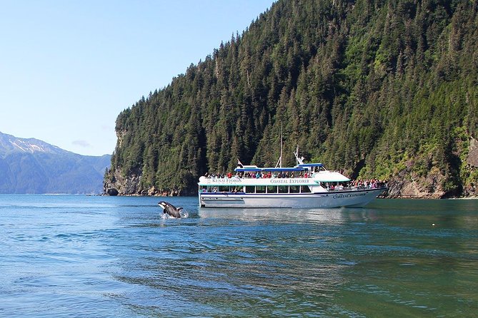 Kenai Fjords National Park Cruise From Seward - Traveler Reviews and Photos