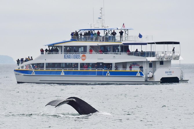 Kenai Fjords National Park Glacier & Wildlife Cruise - Tour Logistics