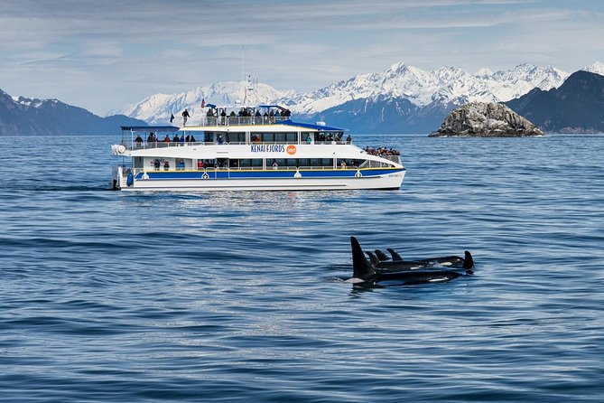 Kenai Fjords National Park Glacier & Wildlife Cruise - Lowest Price Guarantee