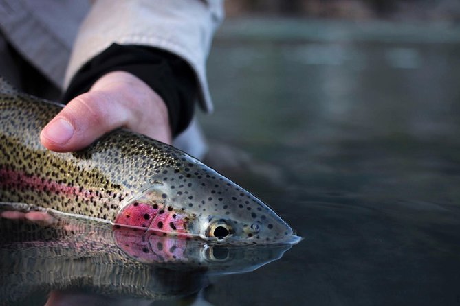 Kenai River Fishing Charter - Accessibility and Accommodations