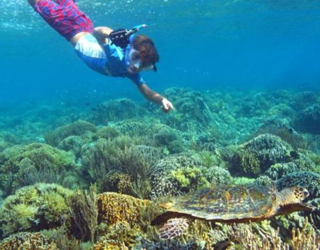 Kenawa Island One Day Tour Package (Start Lombok) - Tour Itinerary