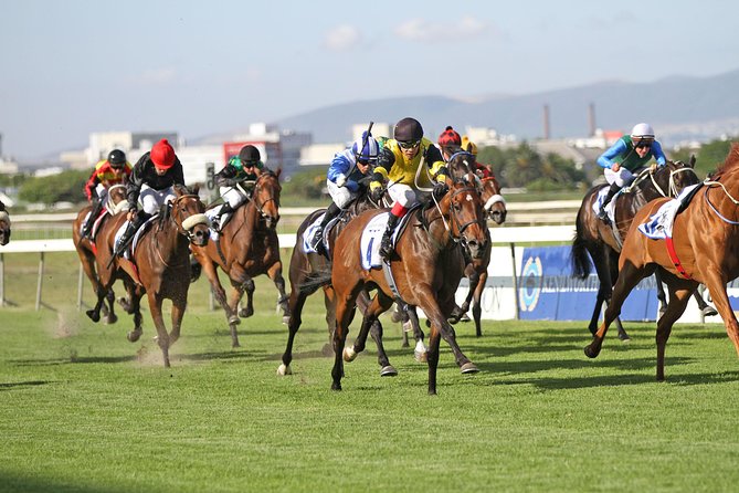 Kenilworth Raceday Tour - Tour Highlights