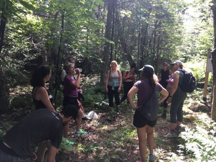 Kennebecasis River: Half Day Paddle and Hike - Tour Information