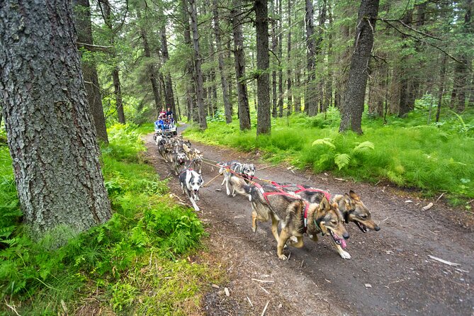 Kennel Tour and Dog Sled Ride - Pickup and End Point Details