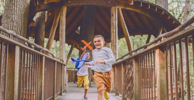 Kennett Square: Longwood Gardens Admission Ticket - A Complete Breakdown of the Experience