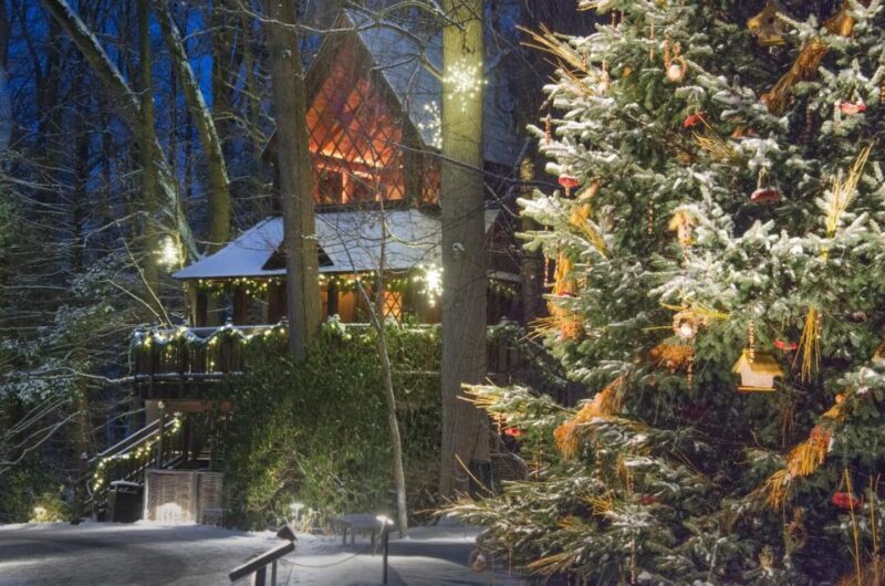 Kennett Square: Longwood Gardens Admission Ticket - The Sum Up