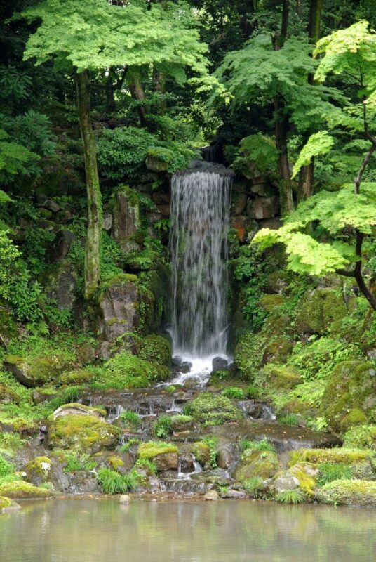 Kenrokuen Garden Admission Ticket - A garden designed to keep you moving