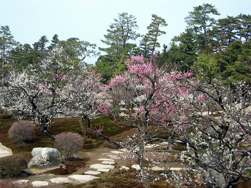 Kenrokuen Garden Admission Ticket - The seasons change the whole visit