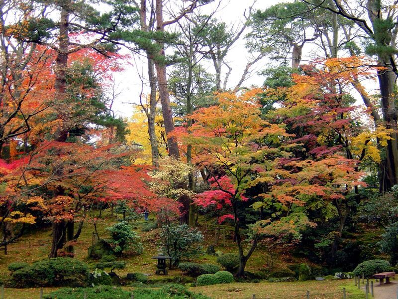 Kenrokuen Garden Admission Ticket - What the ticket covers, and what it costs