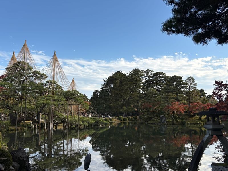 Kenrokuen Garden & Kanazawa Castle Historical Tour - What to expect around Kanazawa Castle