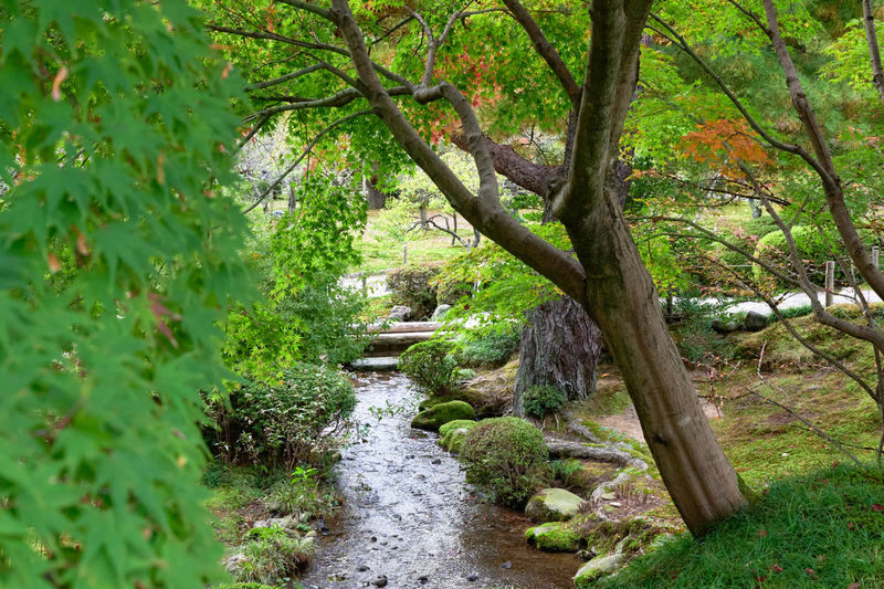 Kenrokuen Garden & Kanazawa Castle Historical Tour - Who should choose this walk?