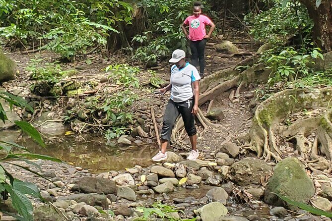 Ken's Panoramic Rainforest Tour - FAQ