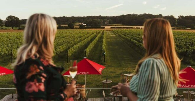 Kent: Balfour Vineyard Walk and Wine Tasting - Vineyard and Wine Details