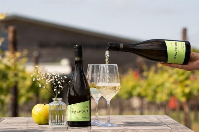 Kent: Balfour Vineyard Walk and Wine Tasting - Inclusions and Additional Information