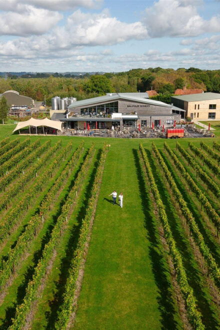 Kent: Balfour Vineyard Walk and Wine Tasting - Important Instructions