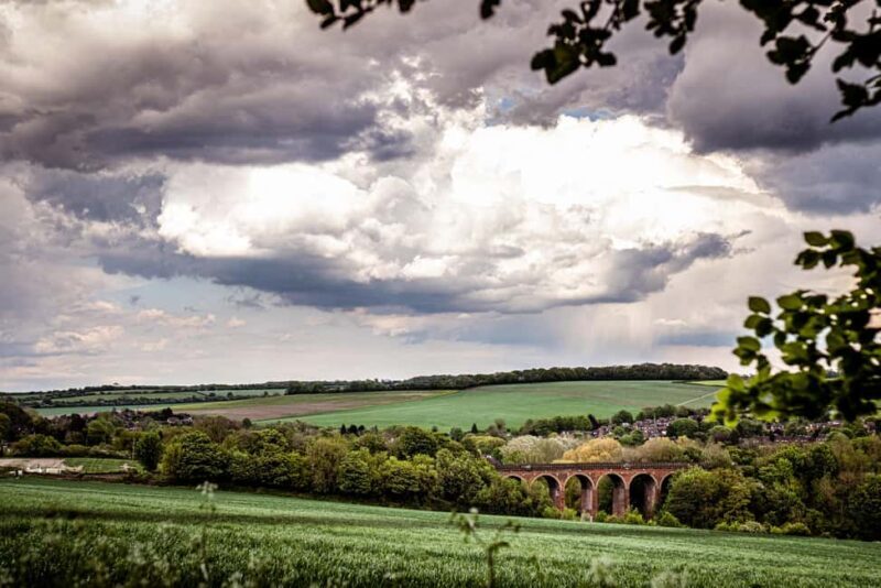 Kent: Eagle Heights Wildlife Foundation Entry Ticket - Good To Know