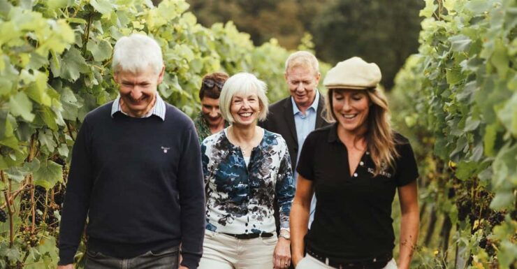 Kent: Squerryes Wine Tour and Tasting - Experience Details