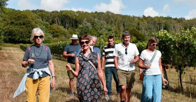 Kent: Tour and Wine Tasting at Westwell Wine Estate - Inclusions and Exclusions