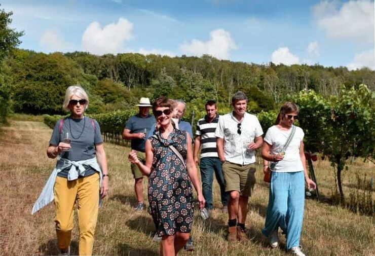 Kent: Tour and Wine Tasting at Westwell Wine Estate - Sustainable Viticulture and Winemaking