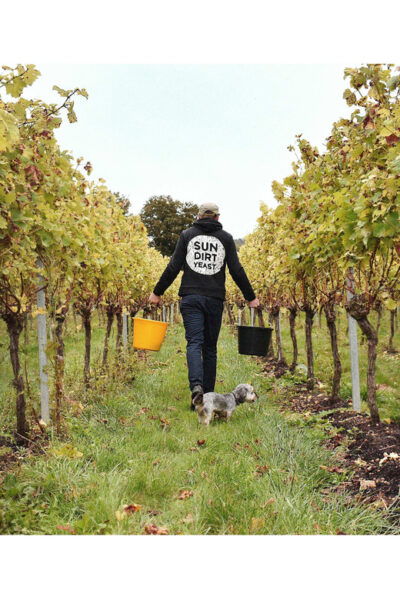 Kent: Tour and Wine Tasting at Westwell Wine Estate - Purchasing Exclusive Wines