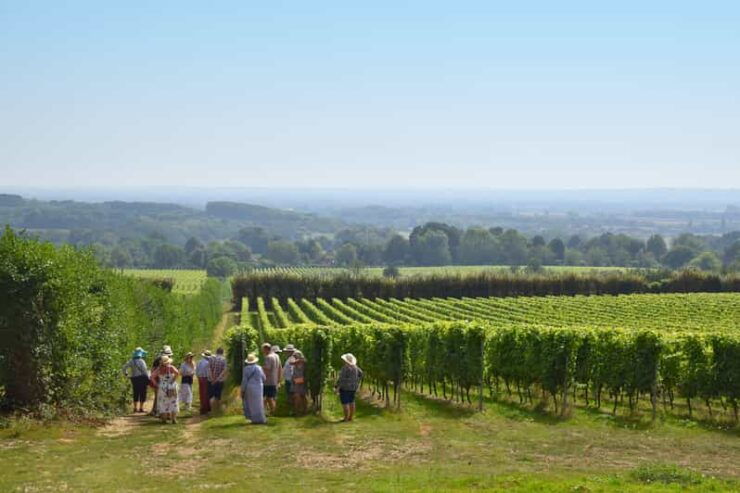 Kent: Yotes Court Vineyard Tour and Tasting - Good To Know