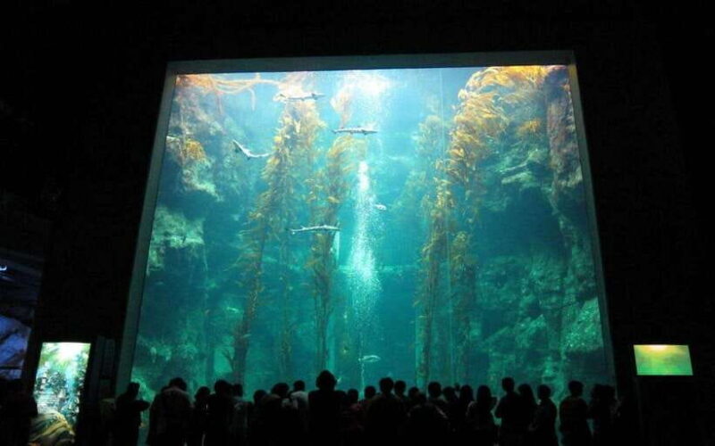 Kenting: National Museum of Marine Biology & Aquarium - FAQ