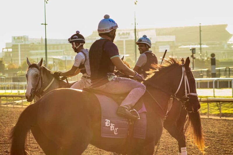 Kentucky Derby Museum - Admission with Guided Track Visit - Good To Know