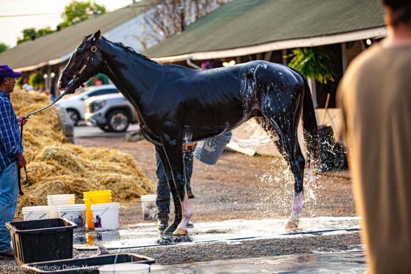 Kentucky Derby Museum - Admission with Guided Track Visit - FAQ