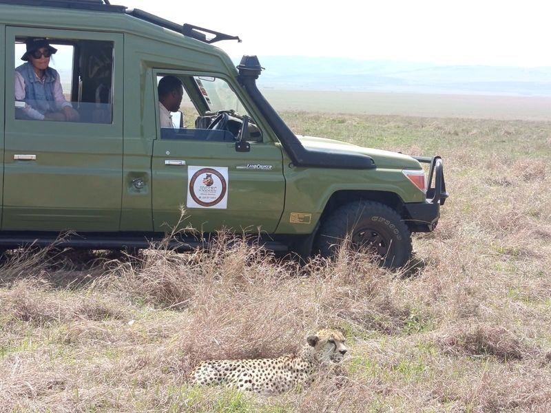Kenya Masai Mara & Lake Nakuru 4-Day Guided Safari - From Nairobi to the Mara, Day 1