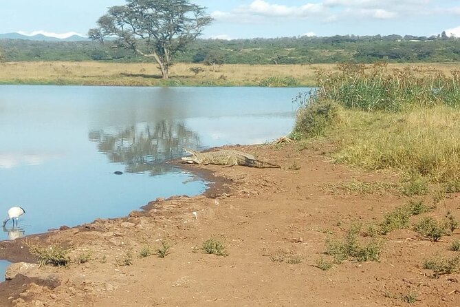 Kenya Safari - Meeting and Pickup Details