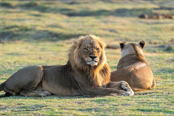 Kenya Safari - Pricing and Reviews