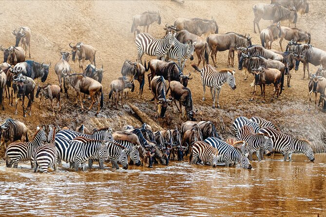 Kenya Safari - Frequently Asked Questions