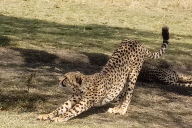 Kenyan Safaris - Accommodation Options on Safaris