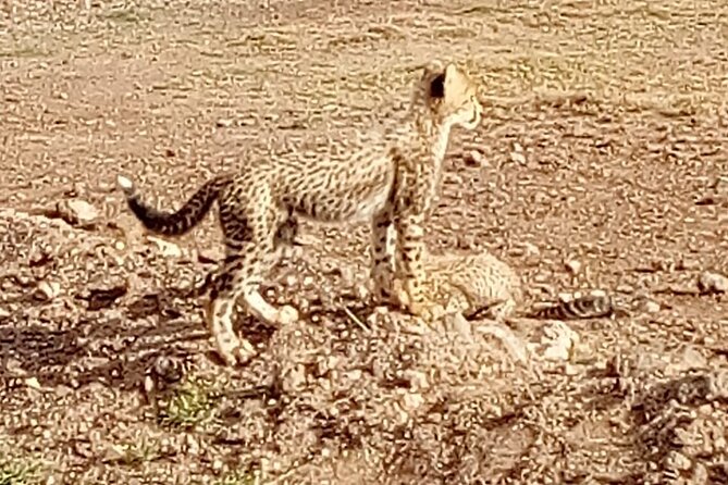 Kenyan Safaris - Safari Packing List Essentials