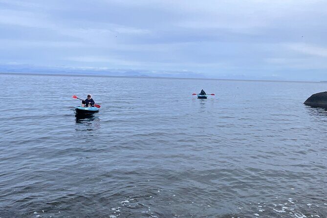 Keogh River Bear Kayaking Tour - The Detailed Itinerary