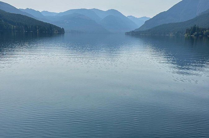 Keogh River Bear Kayaking Tour - What Travelers Say (Based on the Limited Reviews)