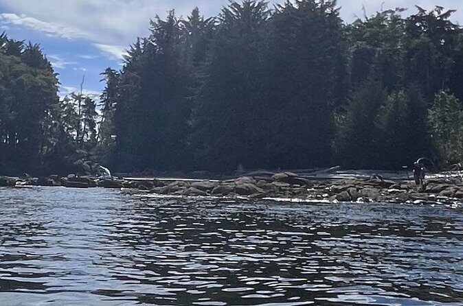 Keogh River Bear Kayaking Tour - Pricing and Value