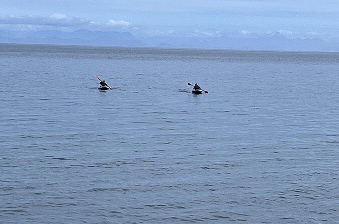 Keogh River Bear Kayaking Tour - Practical Tips for Visitors