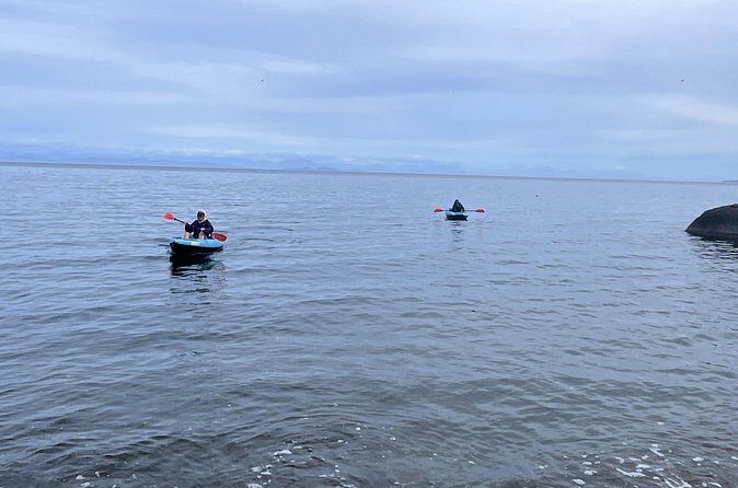 Keogh River Bear Kayaking Tour - Who Would Enjoy This Tour?