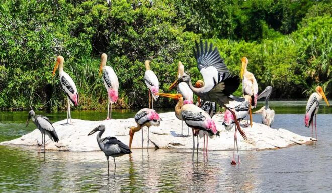 Keoladeo Bird Park Tour With One Way Transfer Jaipur to Agra - Directions and En Route Details