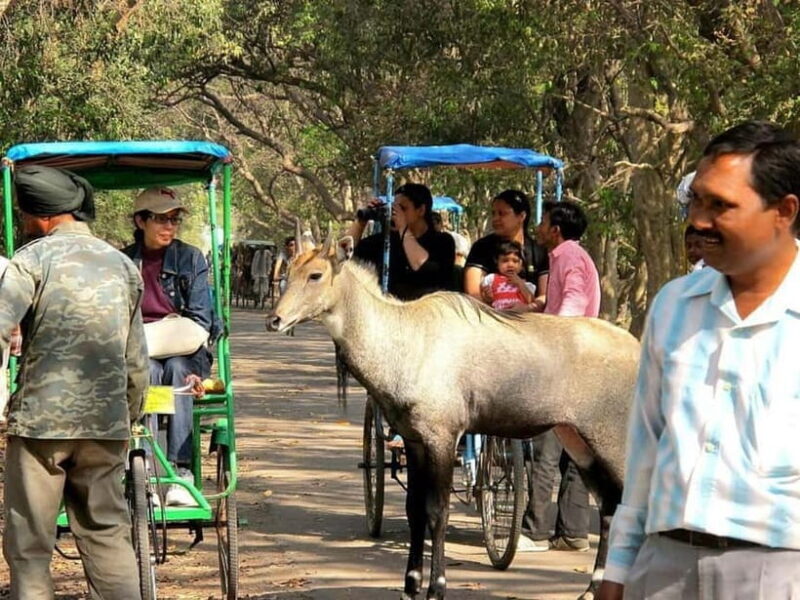 Keoladeo National Park Tickets and Guided Tour - Pricing and Value