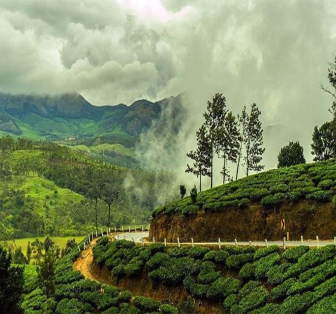 Kerala: 4-Day Tour With Tree House Stay & Houseboat Ride - Activities and Experiences