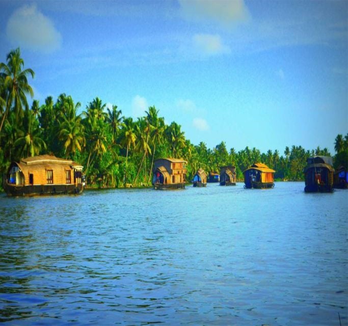 Kerala: 4-Day Tour With Tree House Stay & Houseboat Ride - Day 1 - Cochin to Munnar
