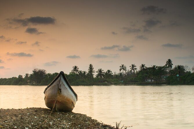 Kerala 6 Day Tour Munnar Thekkady Alleppey Kovalam Beaches - A Deep Dive into Kerala’s Highlights
