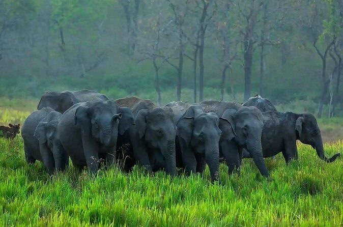 Kerala 6 Day Tour Munnar Thekkady Alleppey Kovalam Beaches - Final Thoughts