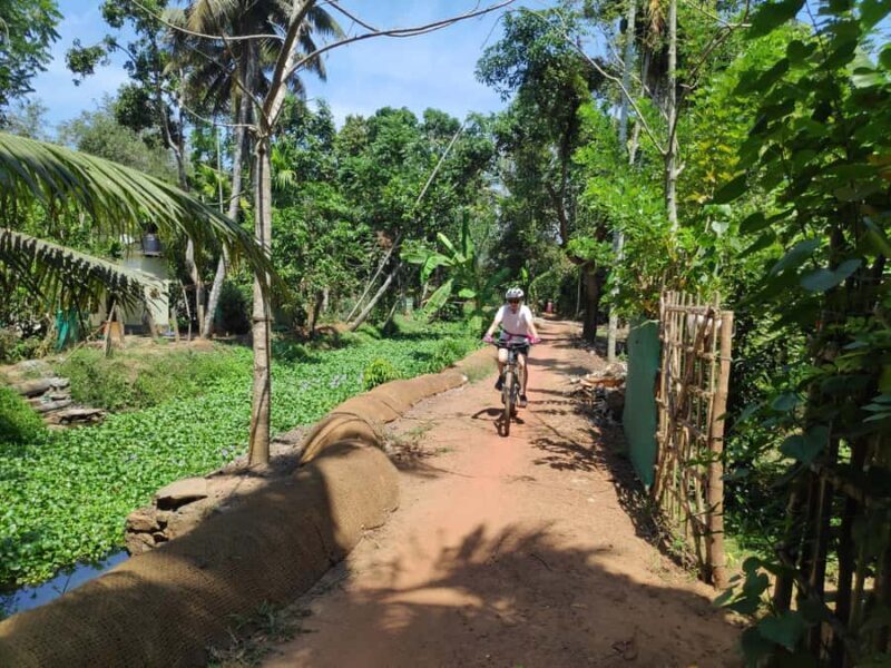 Kerala Backwater Village Cycling Tour (Kumarakom) - Starting Point & Logistics
